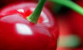 Une tarte aux cerises … banale