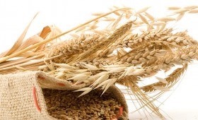 Le gluten est-il à la mode ?