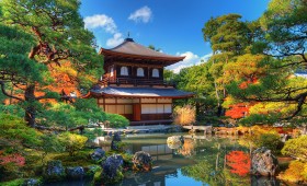 Les LOHAS en provenance du Japon