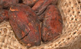 Chaud cacao !