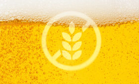 La bière sans gluten se fait mousser