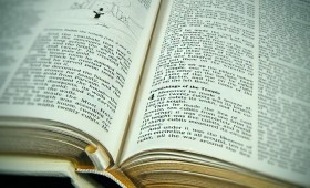 Nouveau règlement bio européen : Ce qui est VRAI, ce qui est FAUX