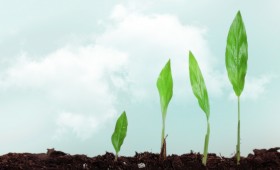 Le bio en passe de devenir un vrai marché de masse !