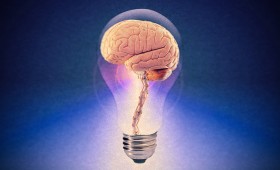 Un nouvel ingrédient, la citicoline.